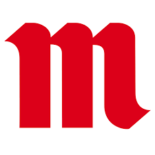 MSM Logo